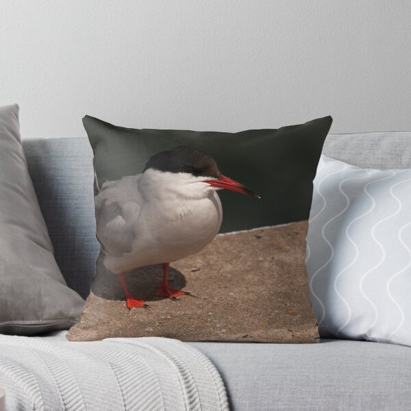 Item preview, Common Tern designed and sold by Jon Lees.
