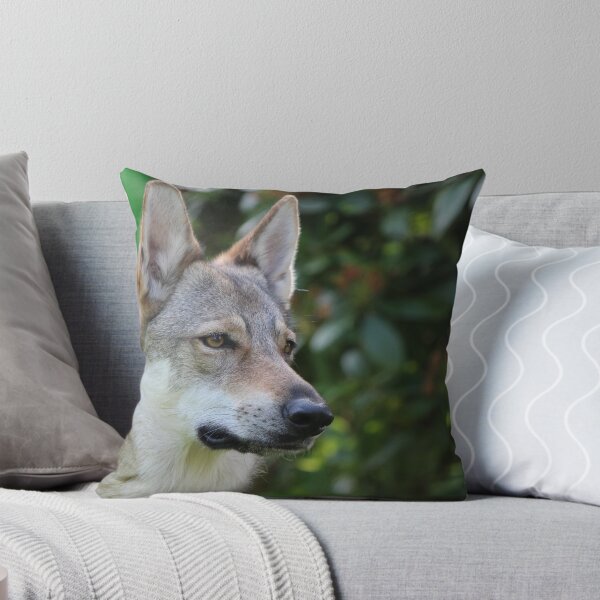 Item preview, Heket - Czechoslovakian Wolfdog designed and sold by karina5.