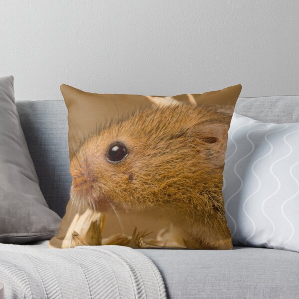 Item preview, Harvest Mouse designed and sold by Val Saxby.