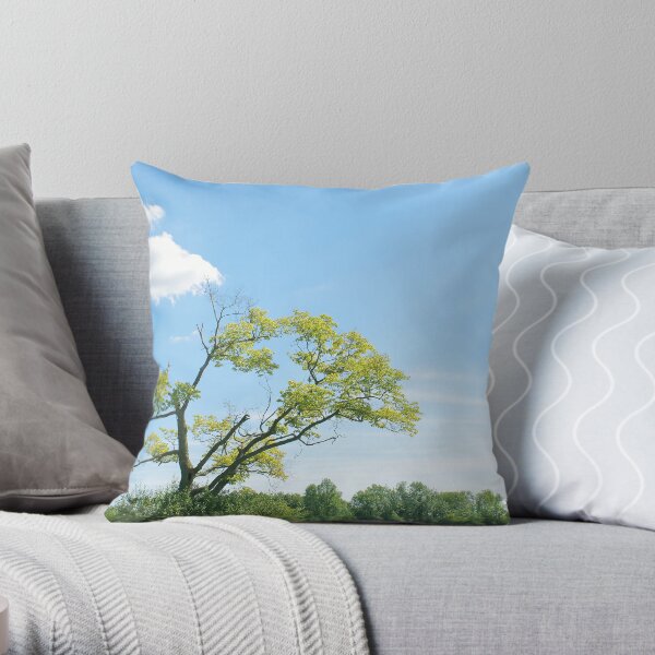 assymetric Throw Pillow