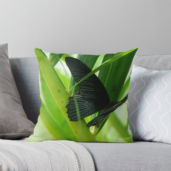 Item preview, Black on Green designed and sold by ChePhotography.