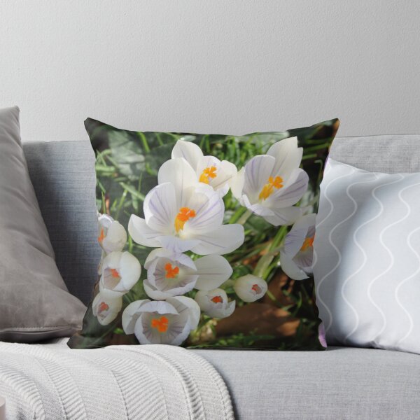 Item preview, Spring has Sprung designed and sold by Alex  Motley.