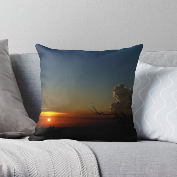 Poinciana tree silhouetted against setting sun. Vietnam Throw Pillow
