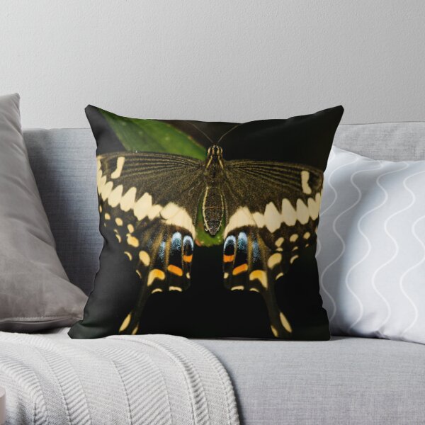 Butterfly Throw Pillow
