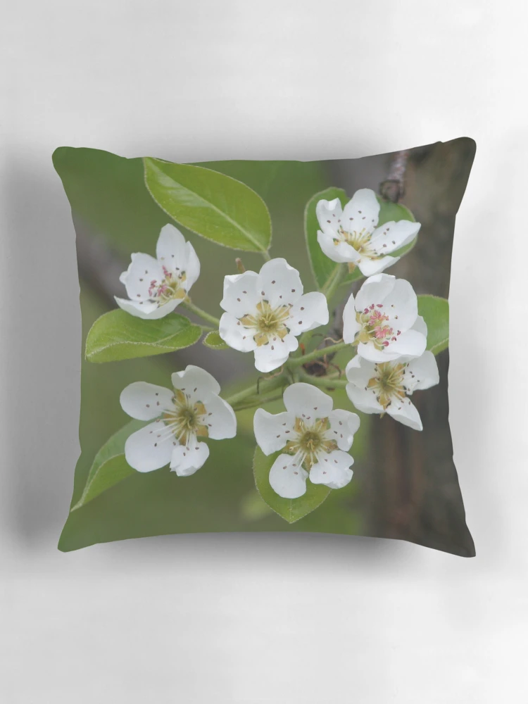 Thumbnail 3 of 4, Pillow, Delicates designed and sold by RHMack.