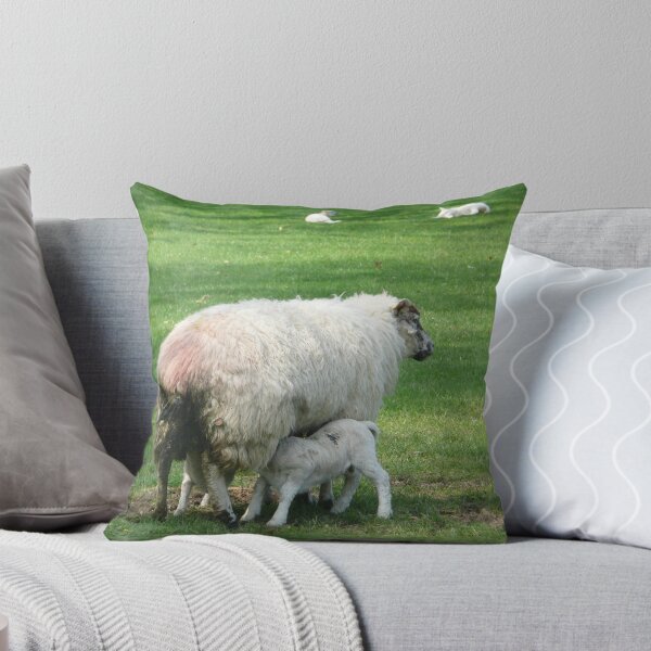 Item preview, Feed Time designed and sold by Debbie Thatcher.