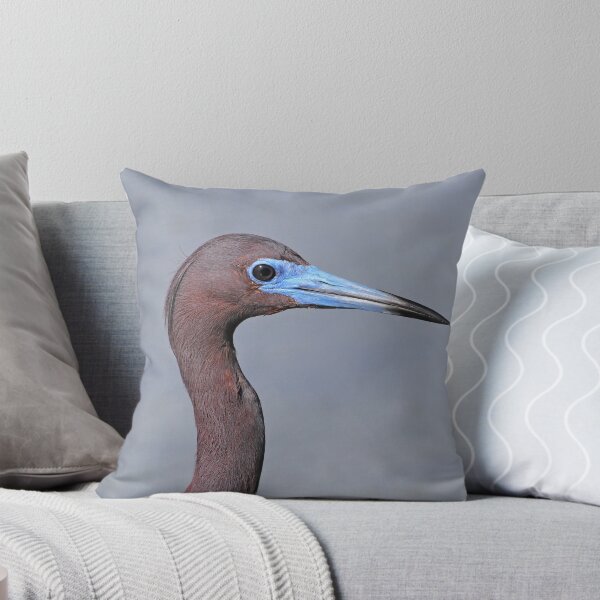 Artikelvorschau, Little blue heron up close entworfen und verkauft von Anthony Goldman.