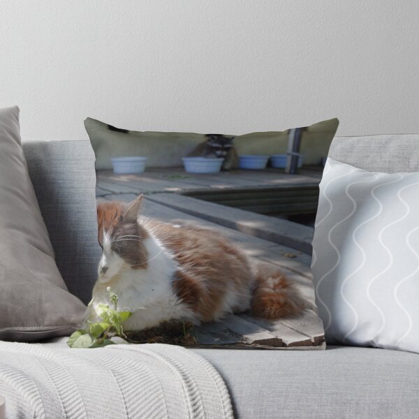 Item preview, Fluffy 'the stray cat' designed and sold by James (820Photography) Anderson.