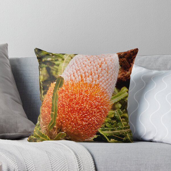 Item preview, 110619 Lesurue National Park Banksia Prionotes designed and sold by Jaxybelle.