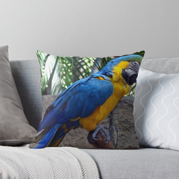 Item preview, Blue and Gold Macaw designed and sold by Jessie LaCroix.