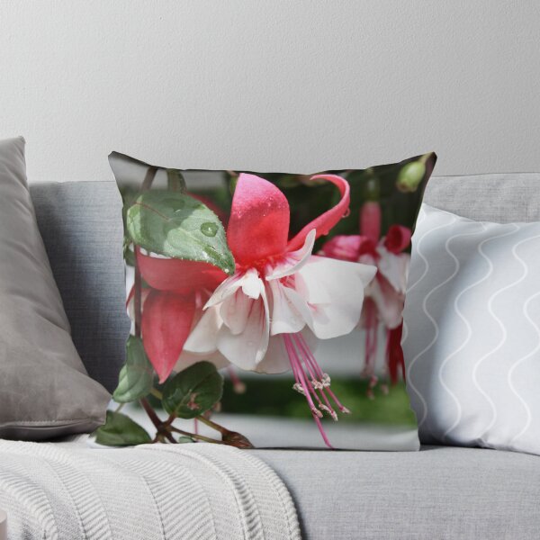 Item preview, Pretty Pretty designed and sold by Candice Wishman.