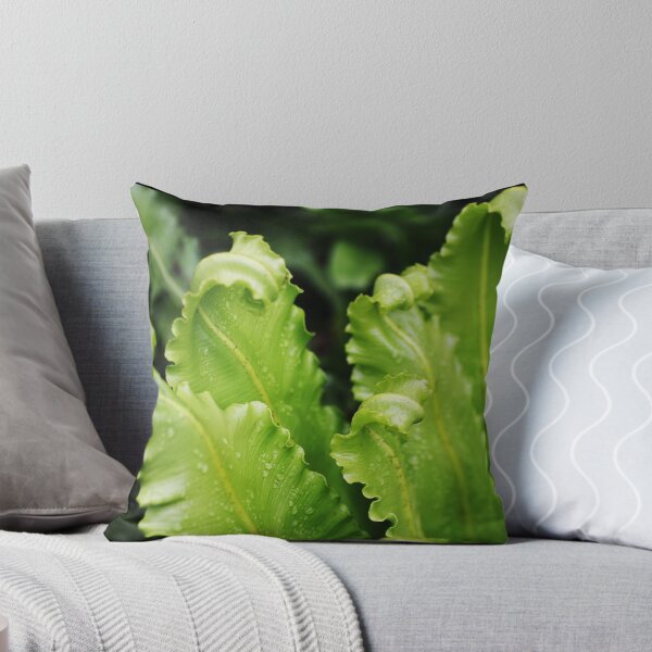 Item preview, A New Beginning designed and sold by Kelli Dubay.