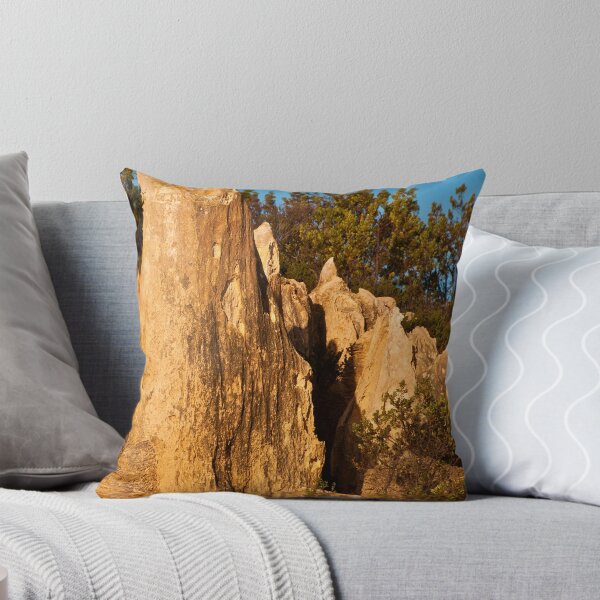 Item preview, 110618 Nambung National Park Pinnacle & Bird designed and sold by Jaxybelle.