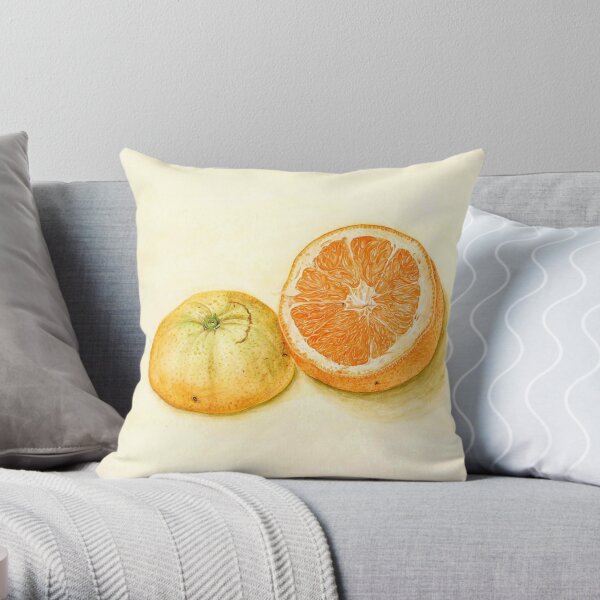 orange stilllife Throw Pillow