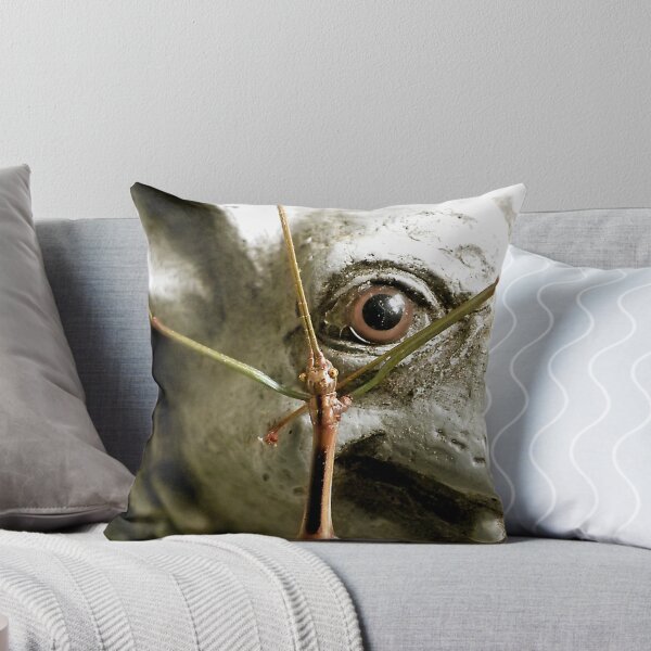 Item preview, Seeing Eye to Eye designed and sold by Kate Eller.