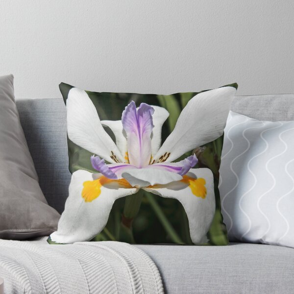 Item preview, Day Lily designed and sold by heatherfriedman.