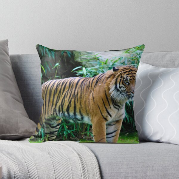 Tiger Throw Pillow