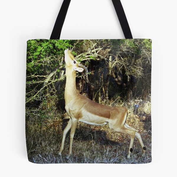 Item preview, Impala Browsing - Kruger National Park designed and sold by Bev Pascoe.