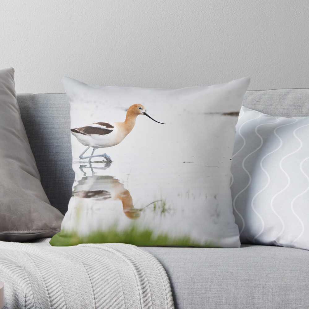 That Lovely Stride (Avocet in Central Wyoming) Throw Pillow