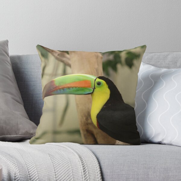Colorful Bird Throw Pillow