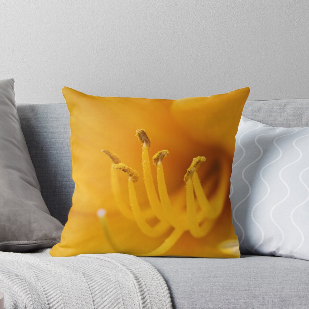 Item preview, Throw Pillow designed and sold by spaterson.