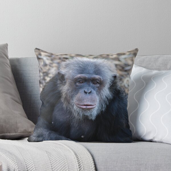 Item preview, Chimpance designed and sold by Cathy Grieve.