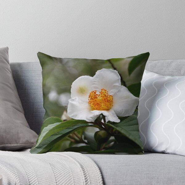 Item preview, Stewartia designed and sold by Tim Devine.