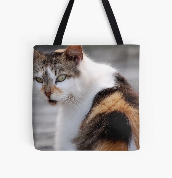 Item preview, Ocracoke Kitty designed and sold by Sandy Woolard.