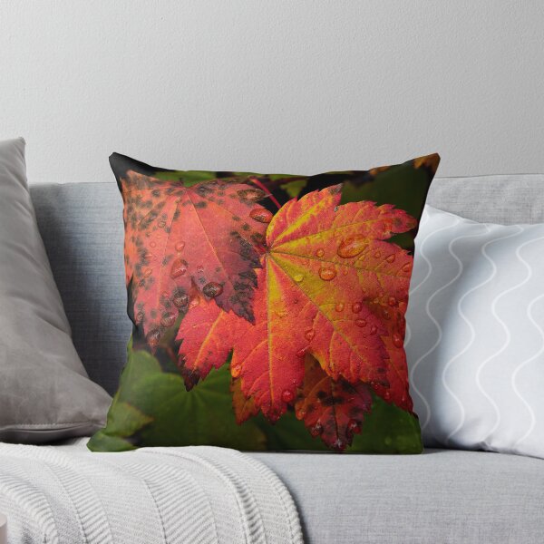 Artikelvorschau, Red Vine Maple Leaves entworfen und verkauft von Charles & Patricia Harkins ~ Picture Oregon.