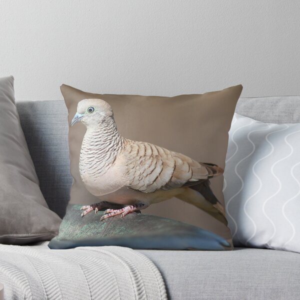 Aperçu de l'œuvre peaceful dove créée et vendue par birdpics.