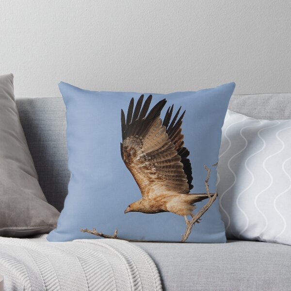 Item preview, whistling kite designed and sold by birdpics.