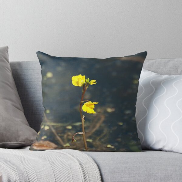Item preview, Bladderwort is not a social disease! designed and sold by Mike Oxley.