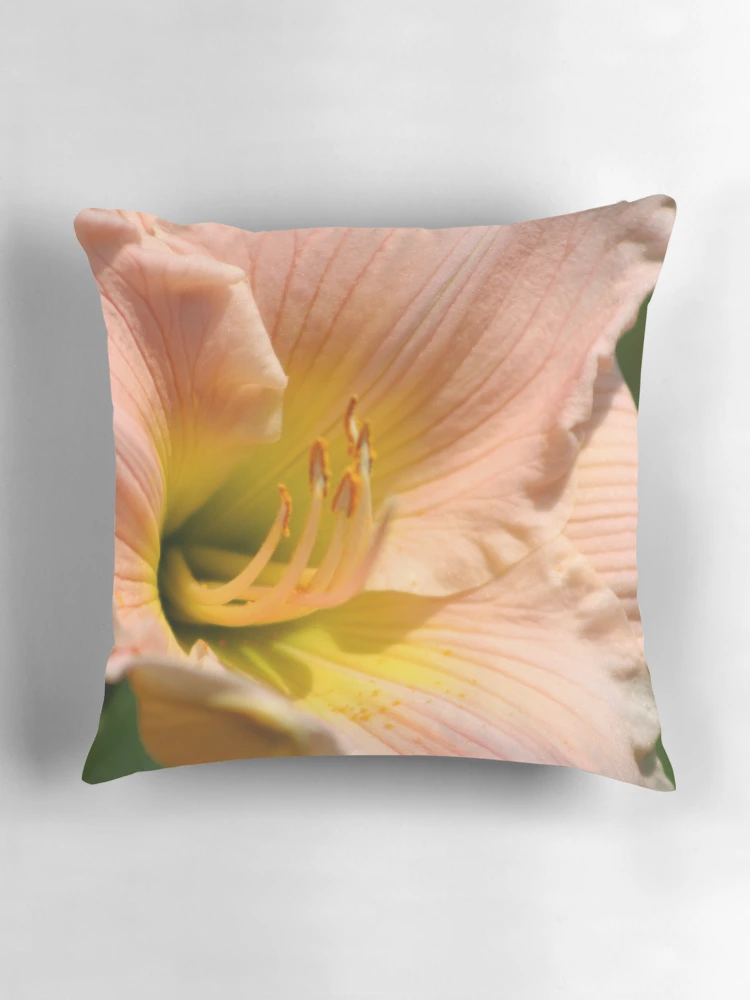 Thumbnail 3 of 4, Pillow, Open for Viewing designed and sold by RHMack.