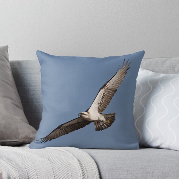 Artikelvorschau, osprey entworfen und verkauft von birdpics.
