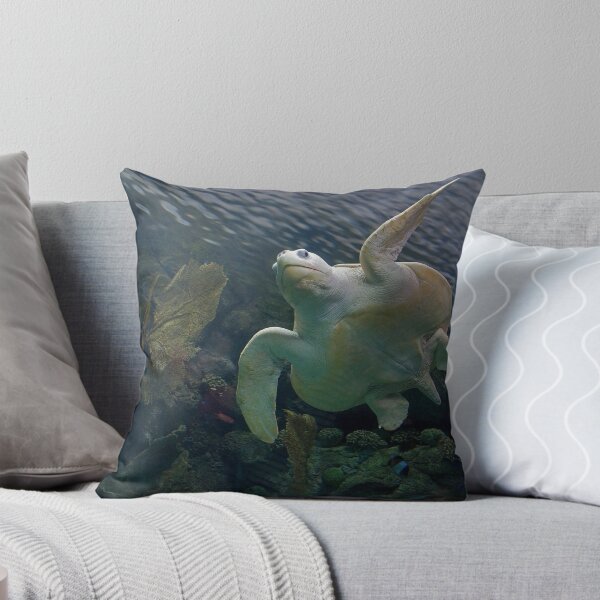 Item preview, Olive Ridley Sea Turtle designed and sold by Brendon Perkins.