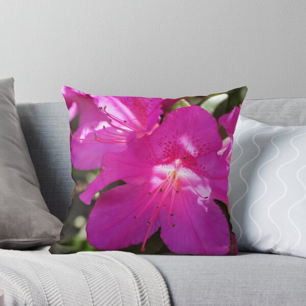 Item preview, Pink Azalea designed and sold by LauraLynnPhotos.