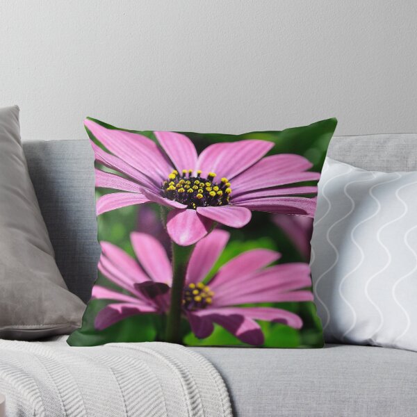 Item preview, Show off designed and sold by csouzas.