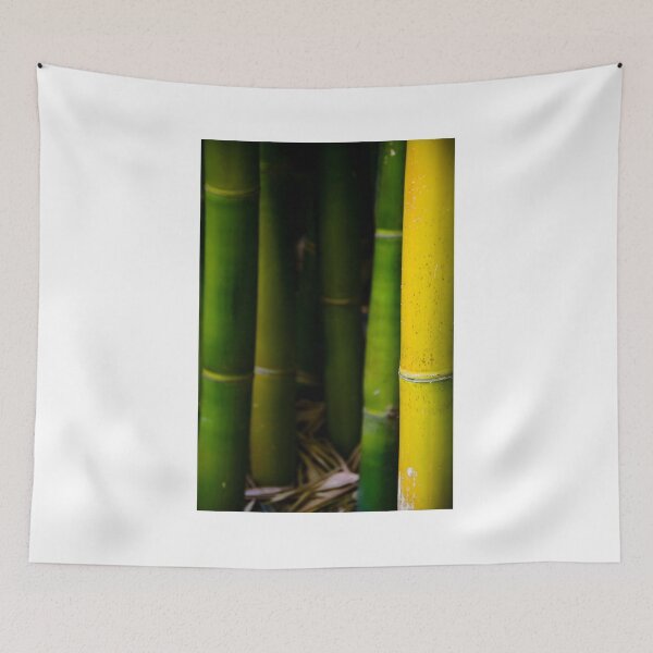 Item preview, Bamboo designed and sold by J. S. Wolf Photography.