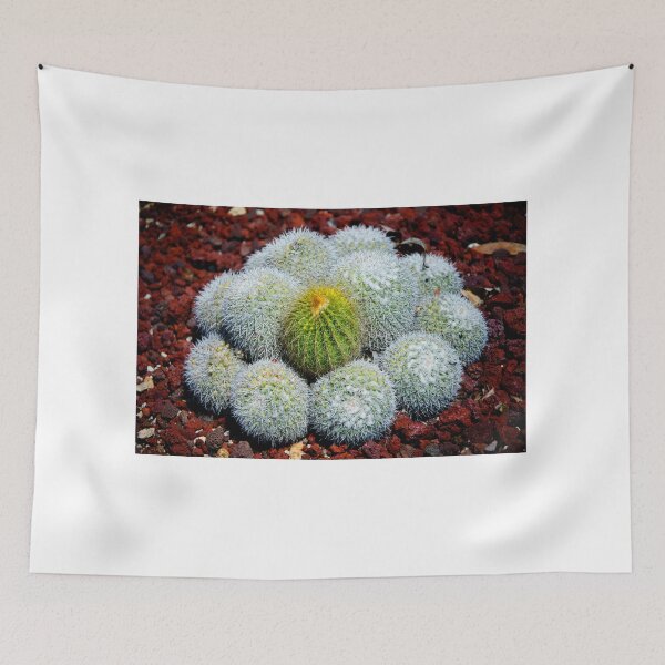 Item preview, Cactus designed and sold by J. S. Wolf Photography.