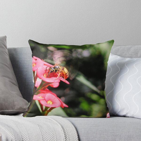 Item preview, Euphorbia milii con Yellow Jack designed and sold by Linda Gleisser.