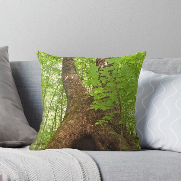 Item preview, Tree Hut designed and sold by Richard Sims.