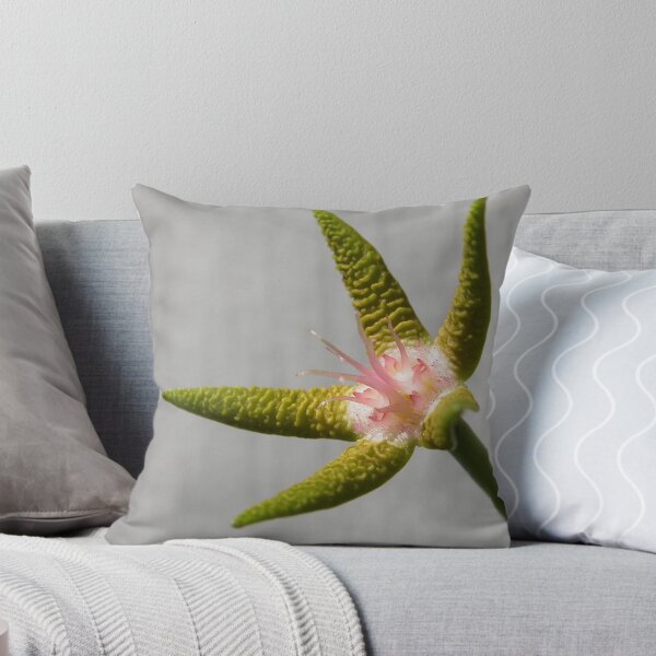 Item preview, Stapella flavopurpurea Flower designed and sold by Linda Gleisser.