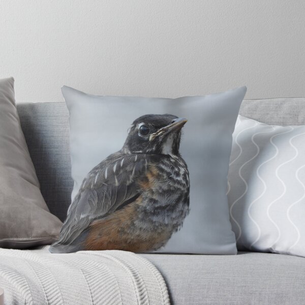 Item preview, Baby Robin designed and sold by KansasA.