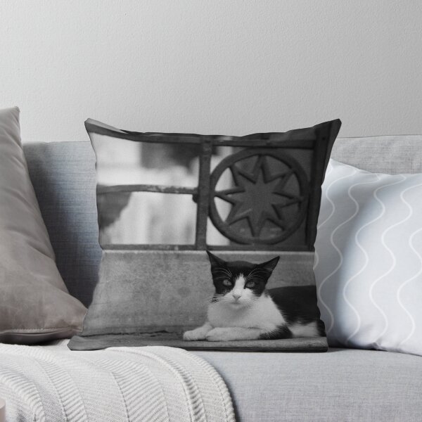 Item preview, Cats of Turkey 2 designed and sold by Lidia D'Opera Photographer.