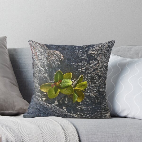 Item preview, A Sprout of Green designed and sold by heatherfriedman.