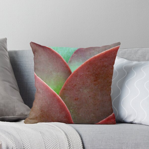 Item preview, Succulent curves designed and sold by ChristinaR.