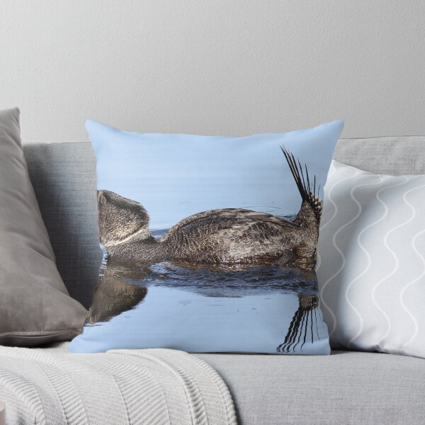 Item preview, musk duck mating display designed and sold by birdpics.