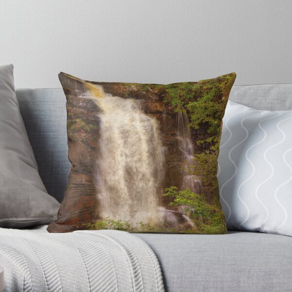 Birks of Aberfeldy (2) Throw Pillow