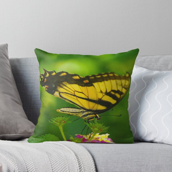 Aperçu de l'œuvre Swallowtail Butterfly créée et vendue par Berk Nash.