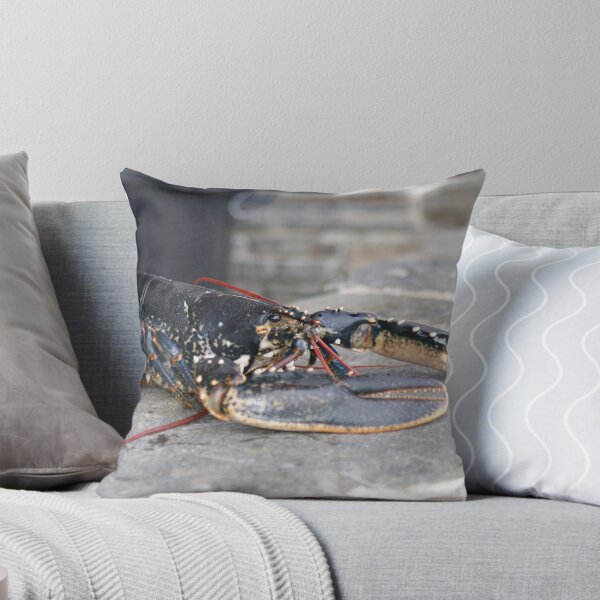Item preview, Fisherman's Catch designed and sold by csummers.